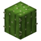 Кактус.png
